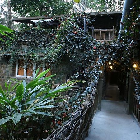 Greenspaces B&B Мунар Екстериор снимка