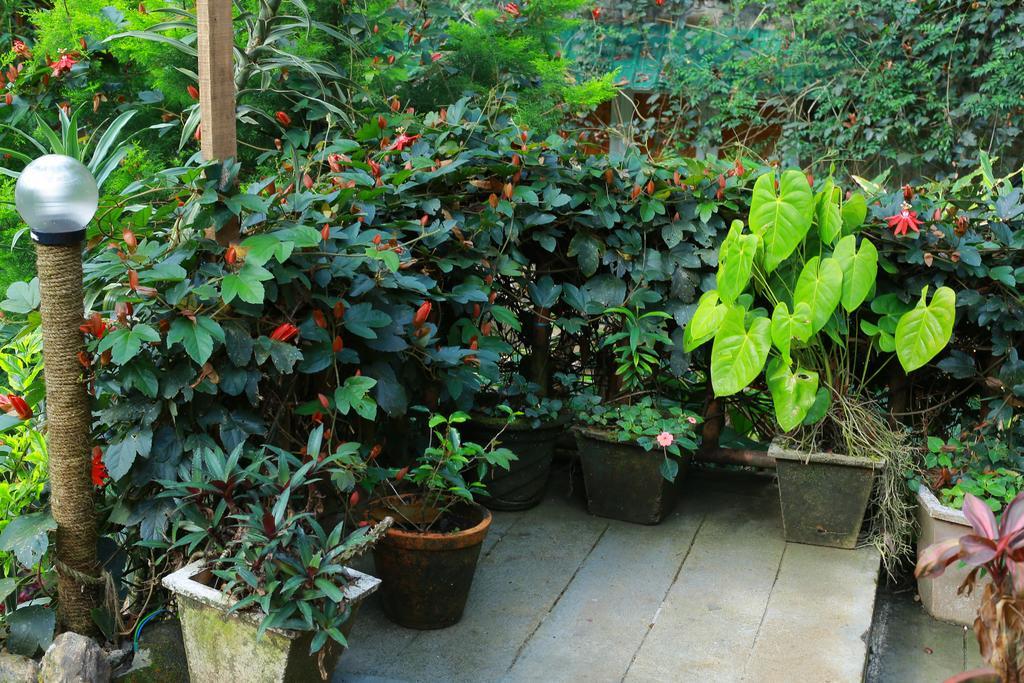 Greenspaces B&B Мунар Екстериор снимка