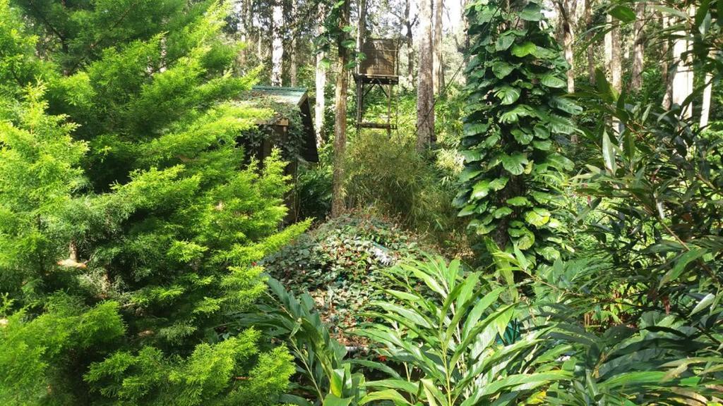 Greenspaces B&B Мунар Екстериор снимка