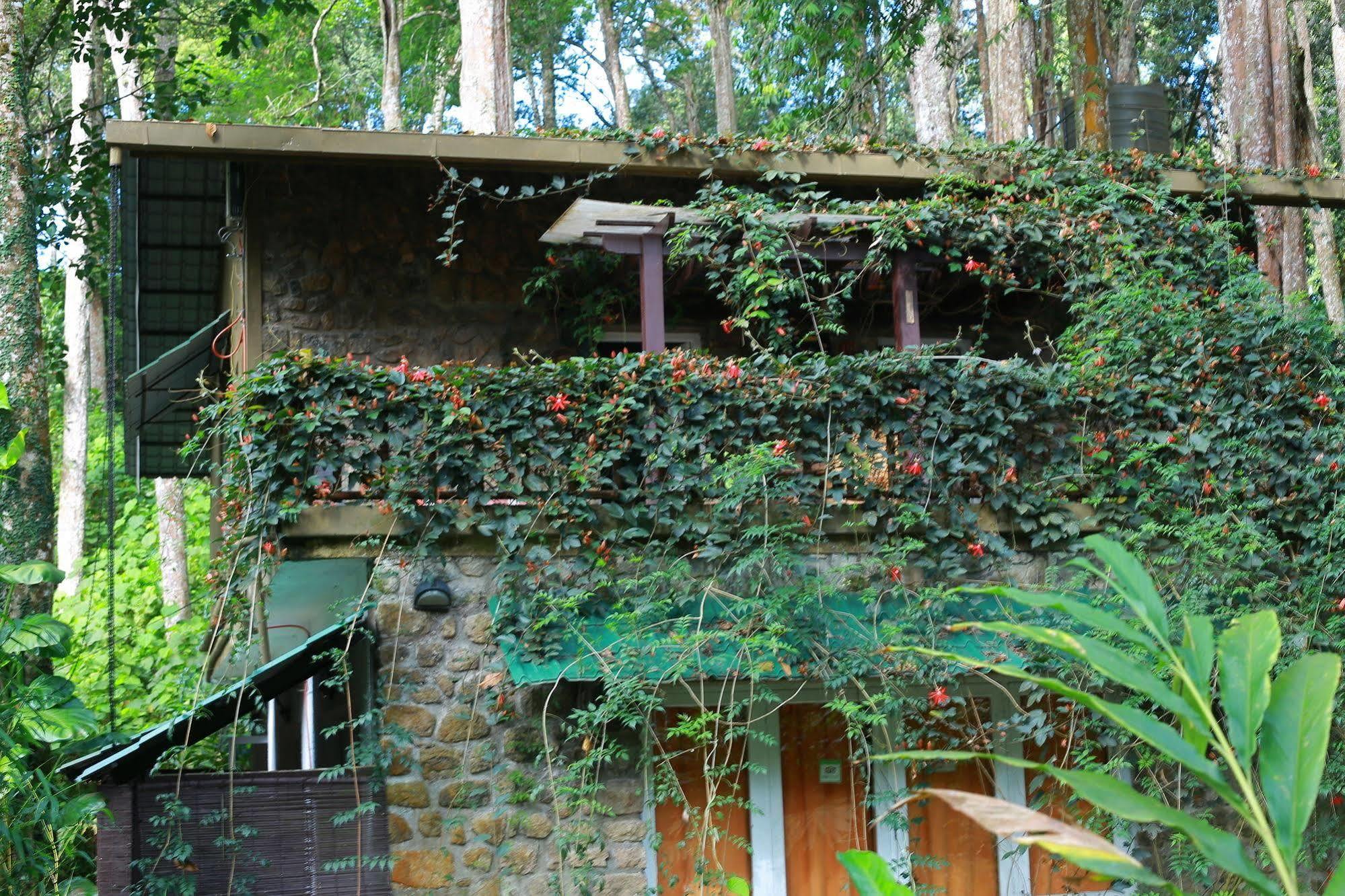 Greenspaces B&B Мунар Екстериор снимка
